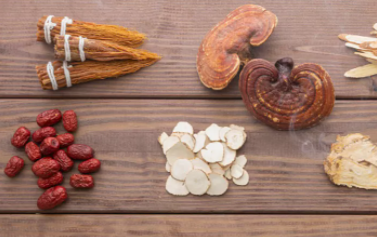 傳承藥食同源，衍生健康入選鐵皮石斛、西洋參、靈芝藥食同源首批試點(diǎn)